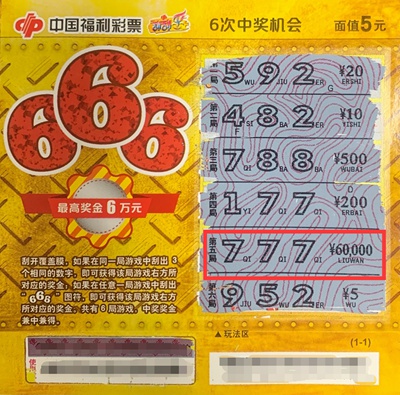 中国体育彩票的种类及其多样化的购买方式解析